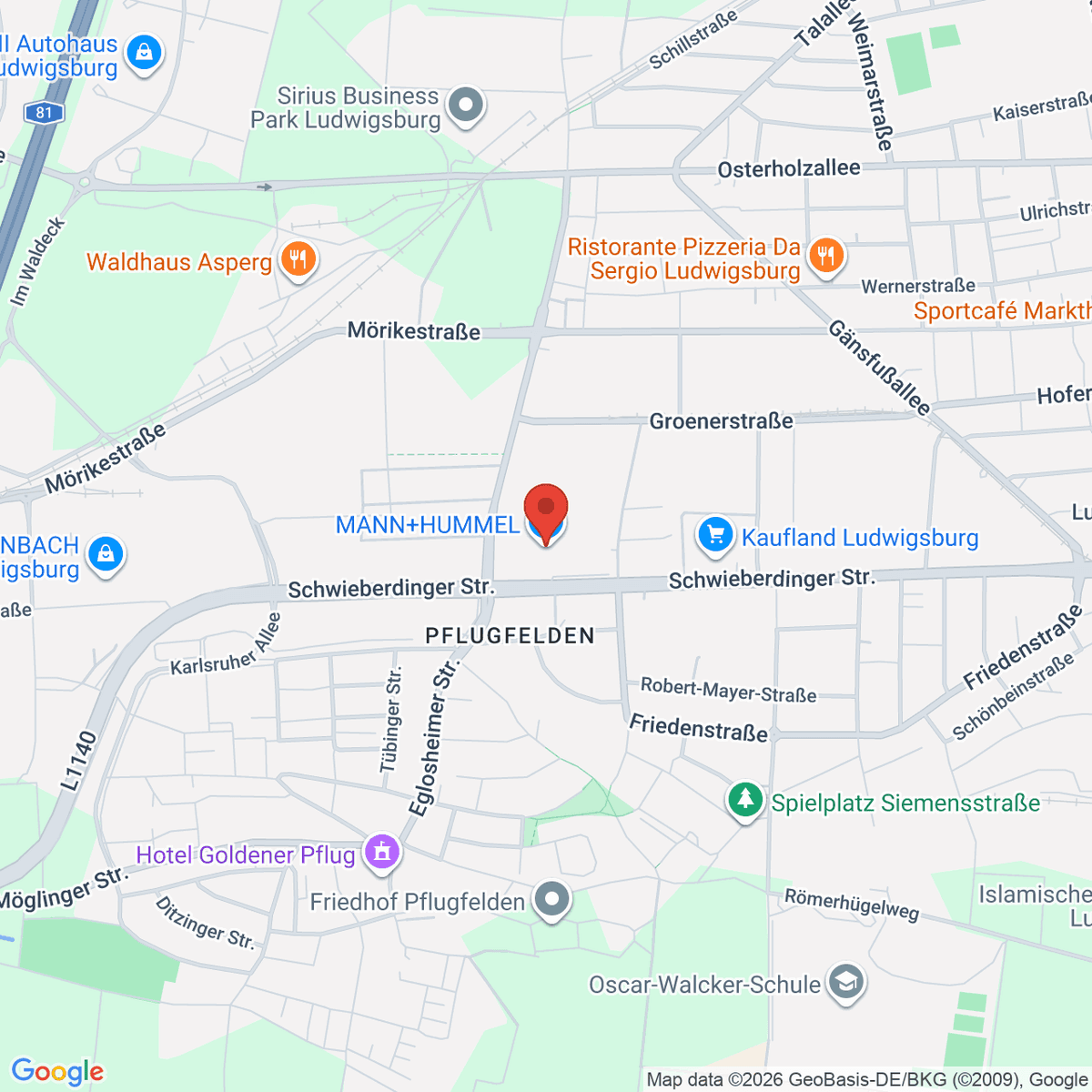 google-map-placeholder-image