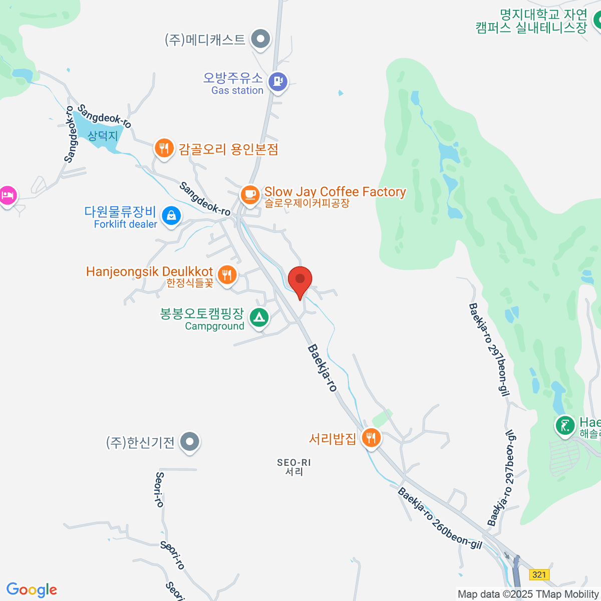 google-map-placeholder-image