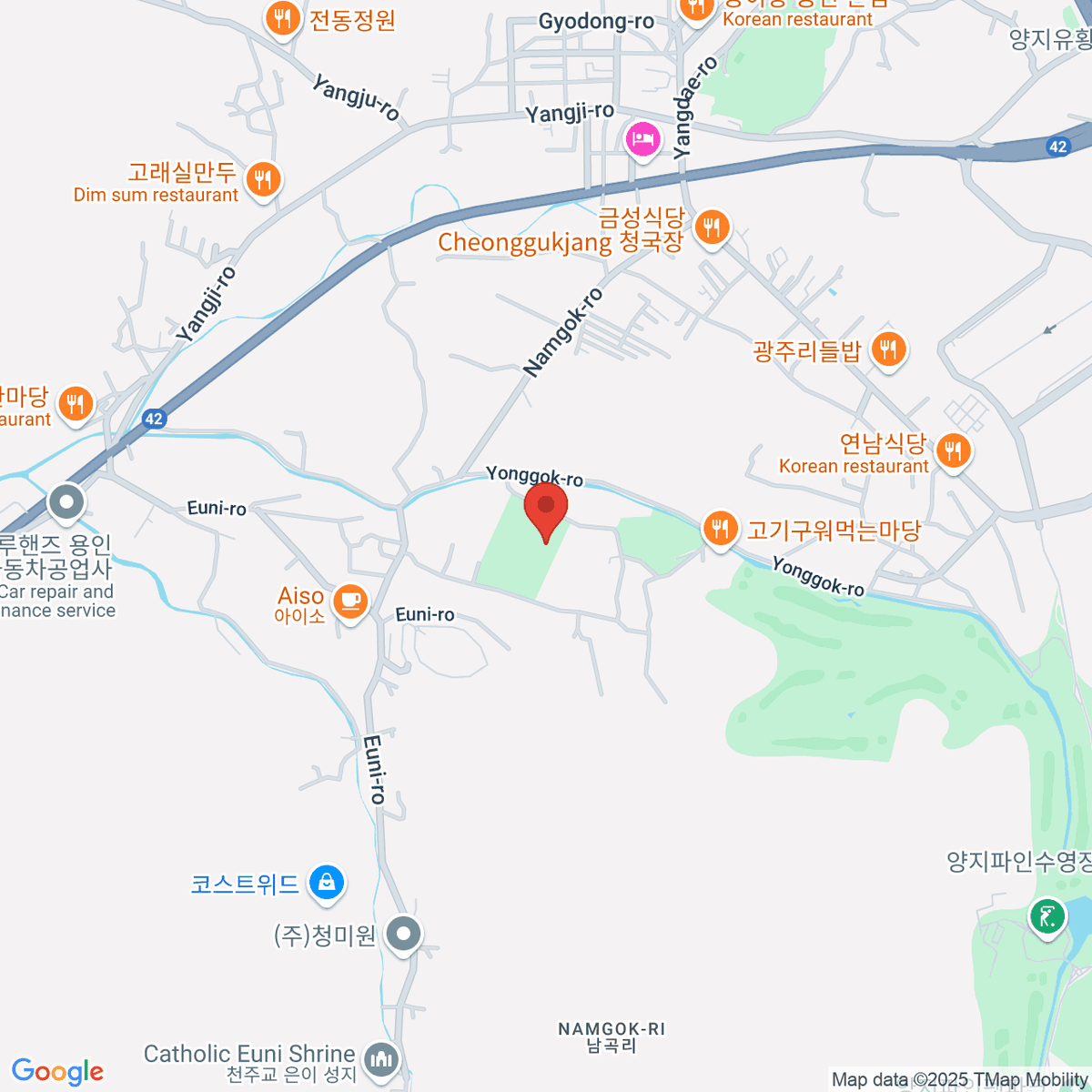 google-map-placeholder-image