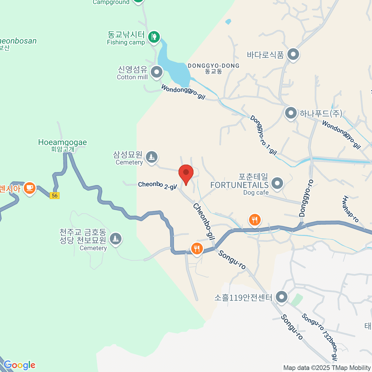 google-map-placeholder-image