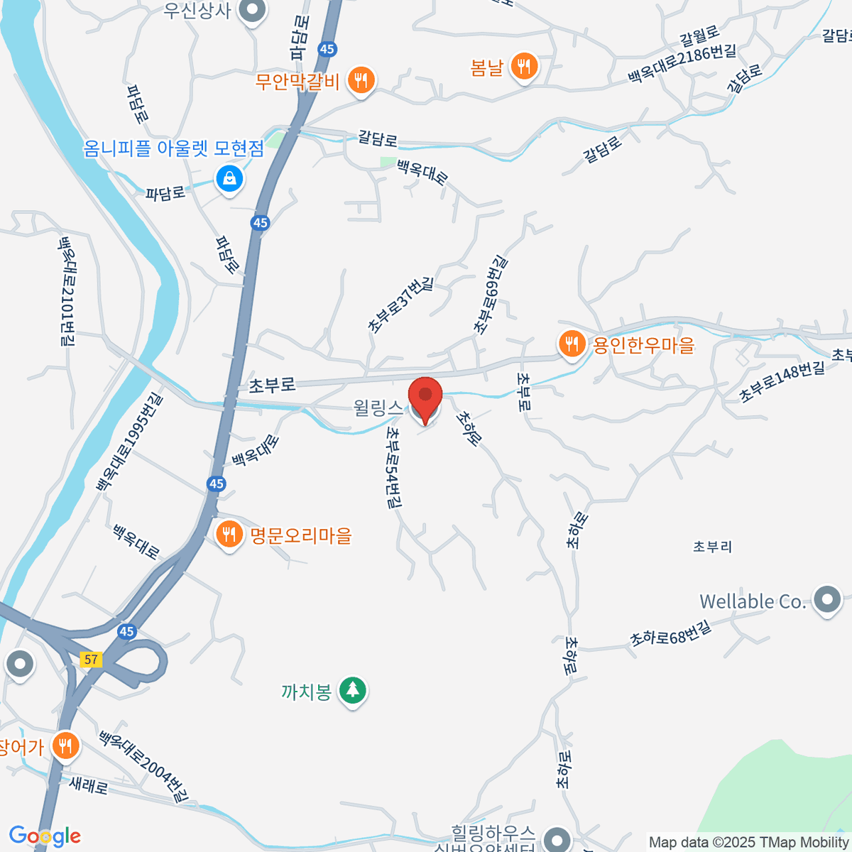 google-map-placeholder-image