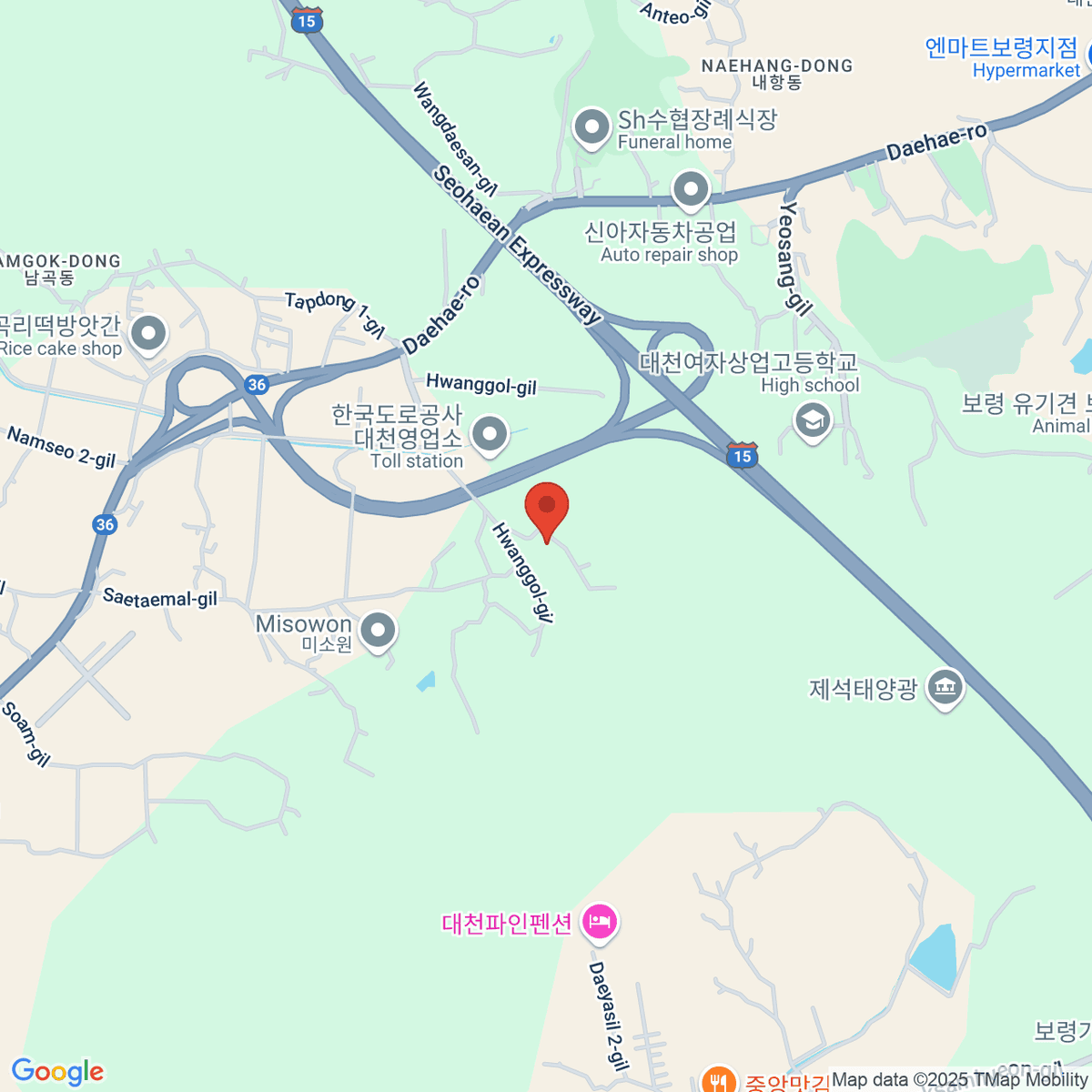 google-map-placeholder-image