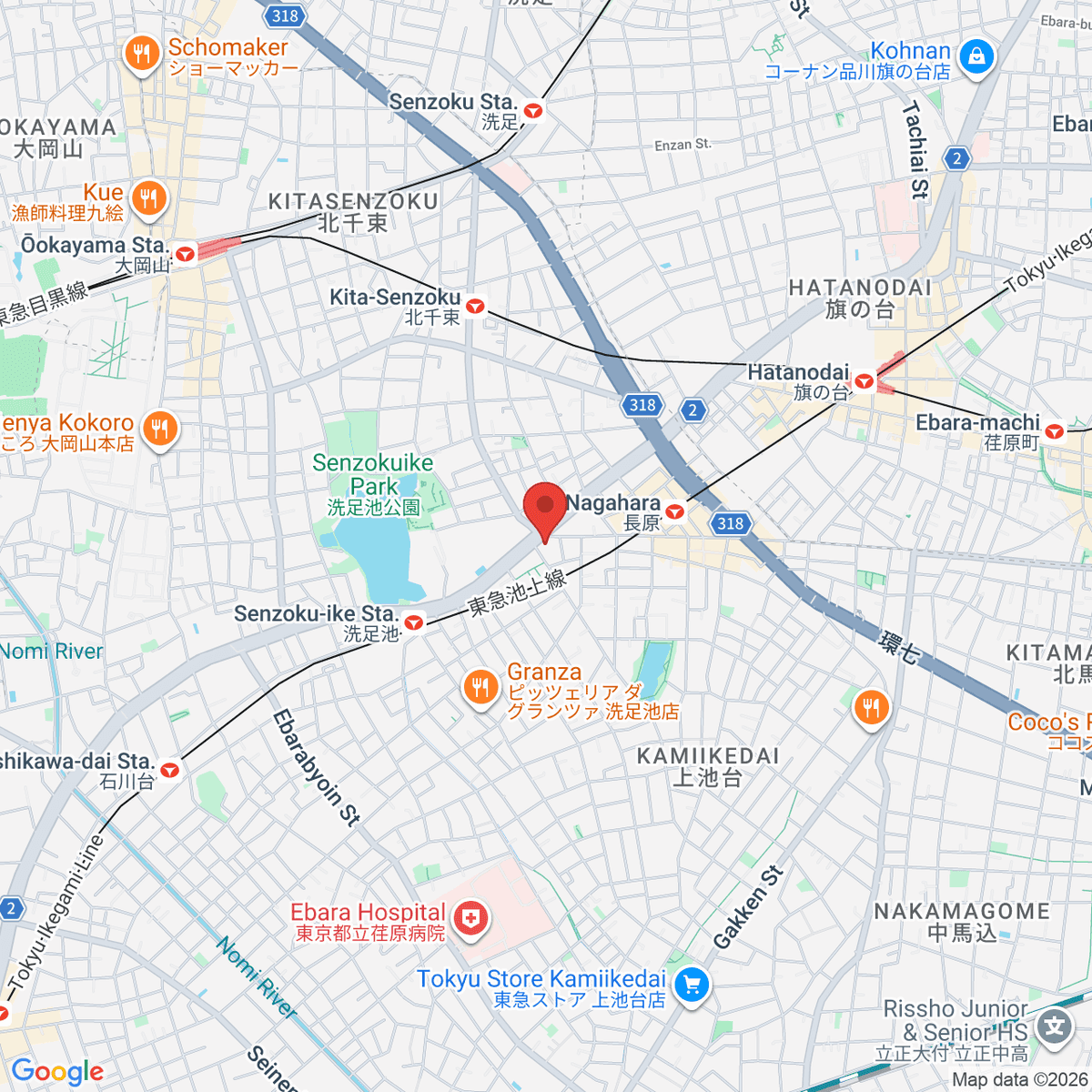 google-map-placeholder-image