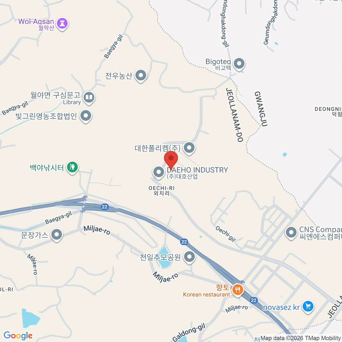 google-map-placeholder-image