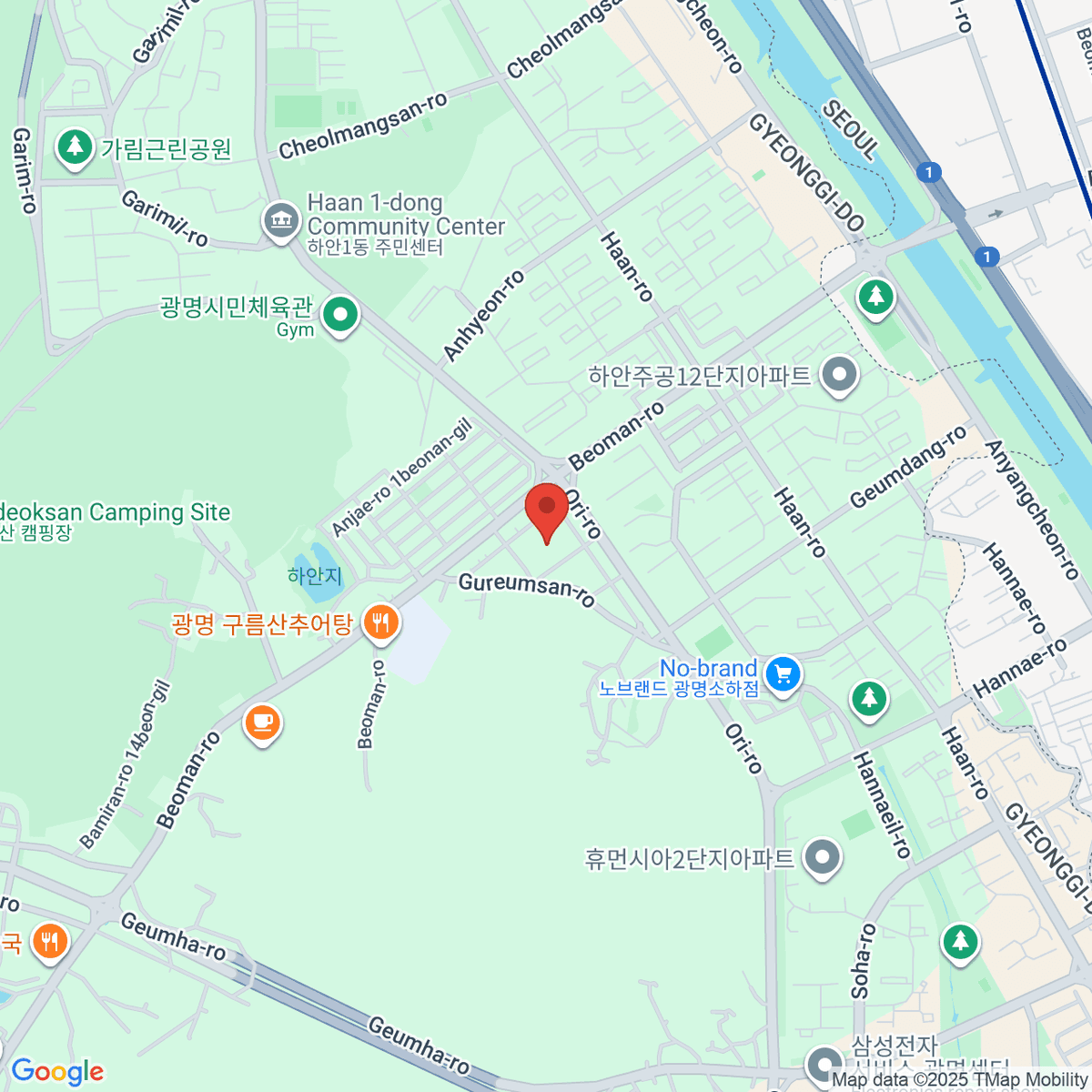 google-map-placeholder-image