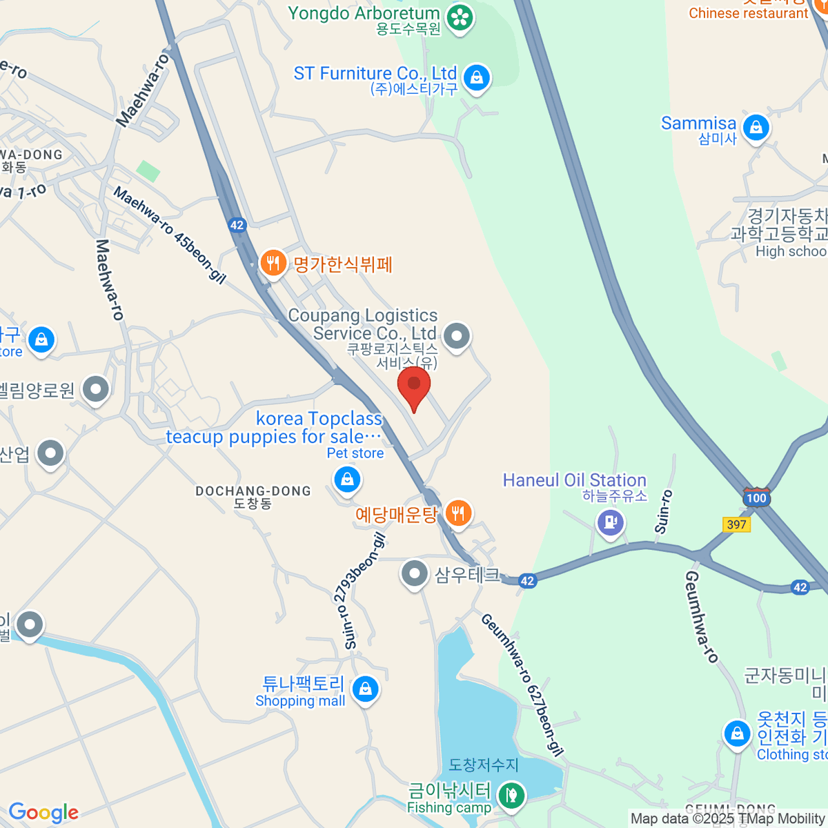 google-map-placeholder-image