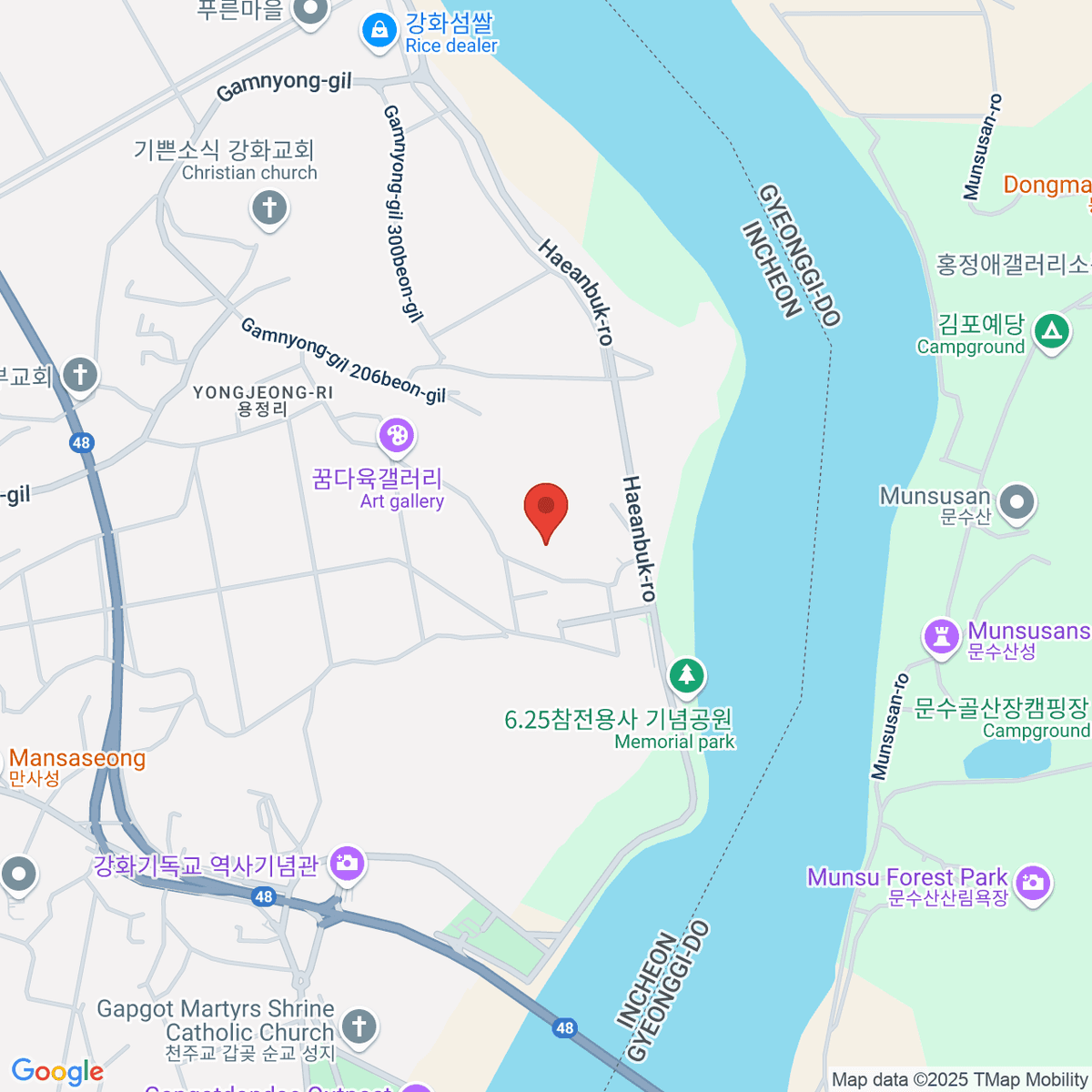 google-map-placeholder-image