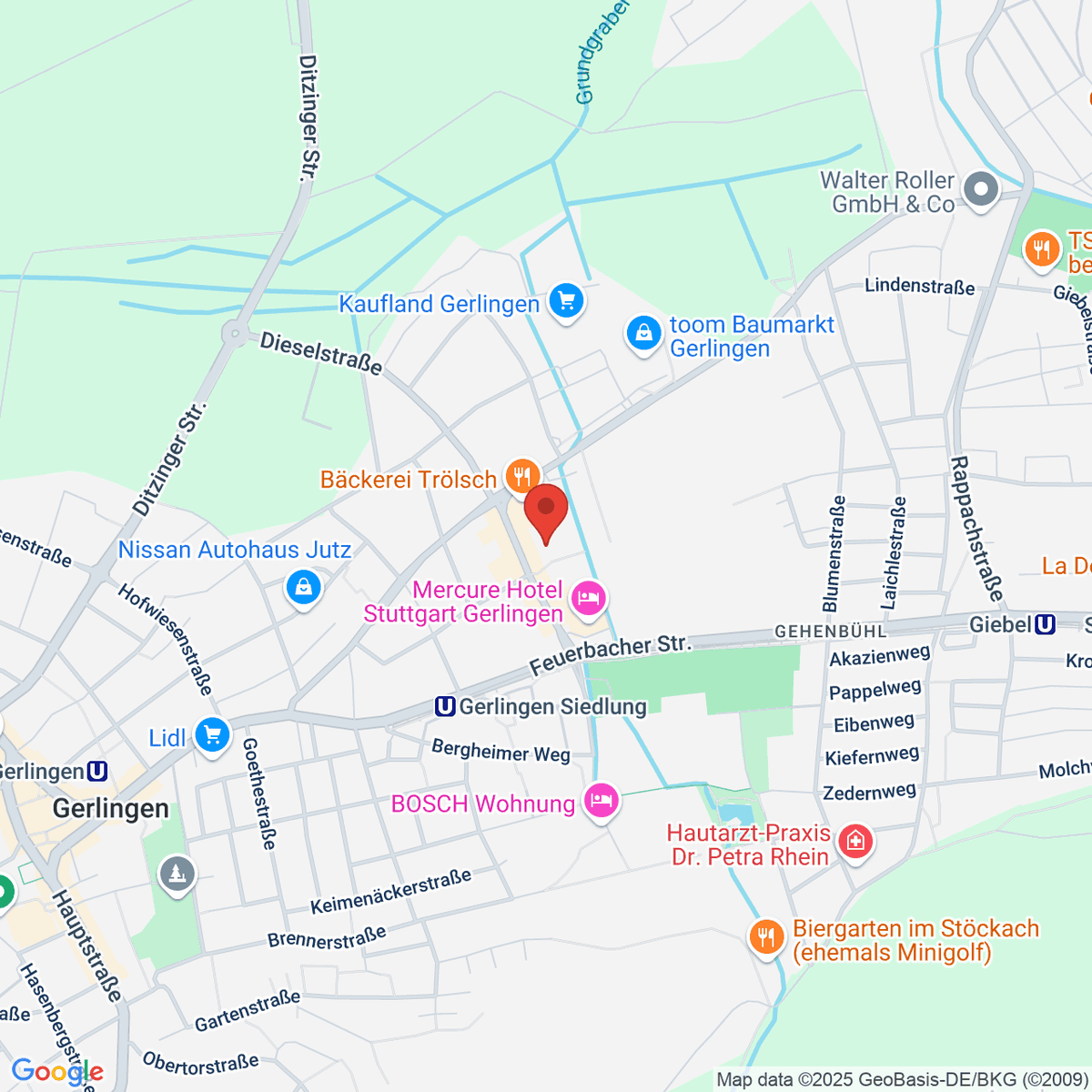 google-map-placeholder-image