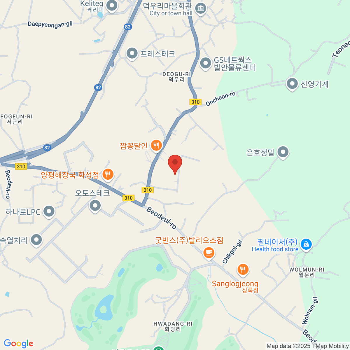 google-map-placeholder-image