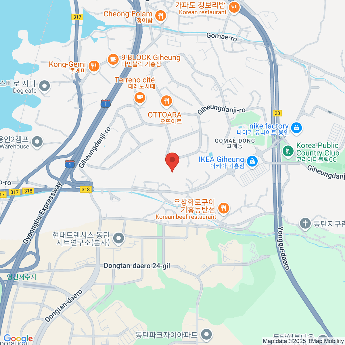 google-map-placeholder-image