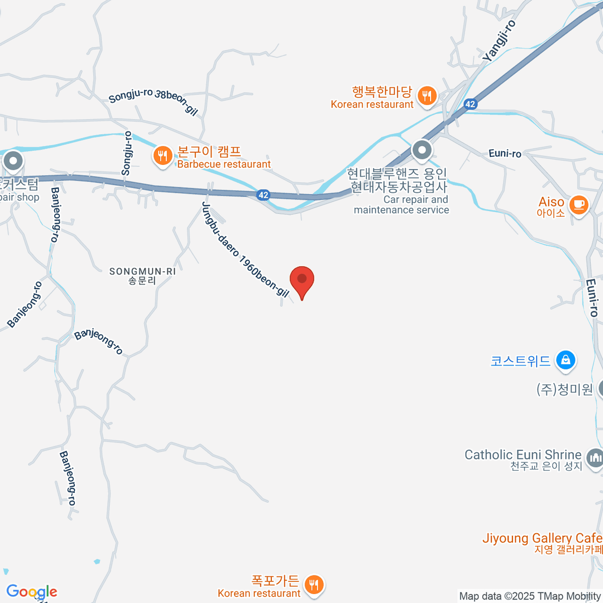 google-map-placeholder-image