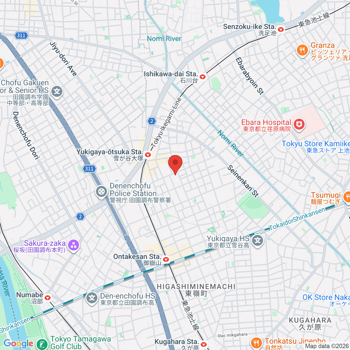 google-map-placeholder-image