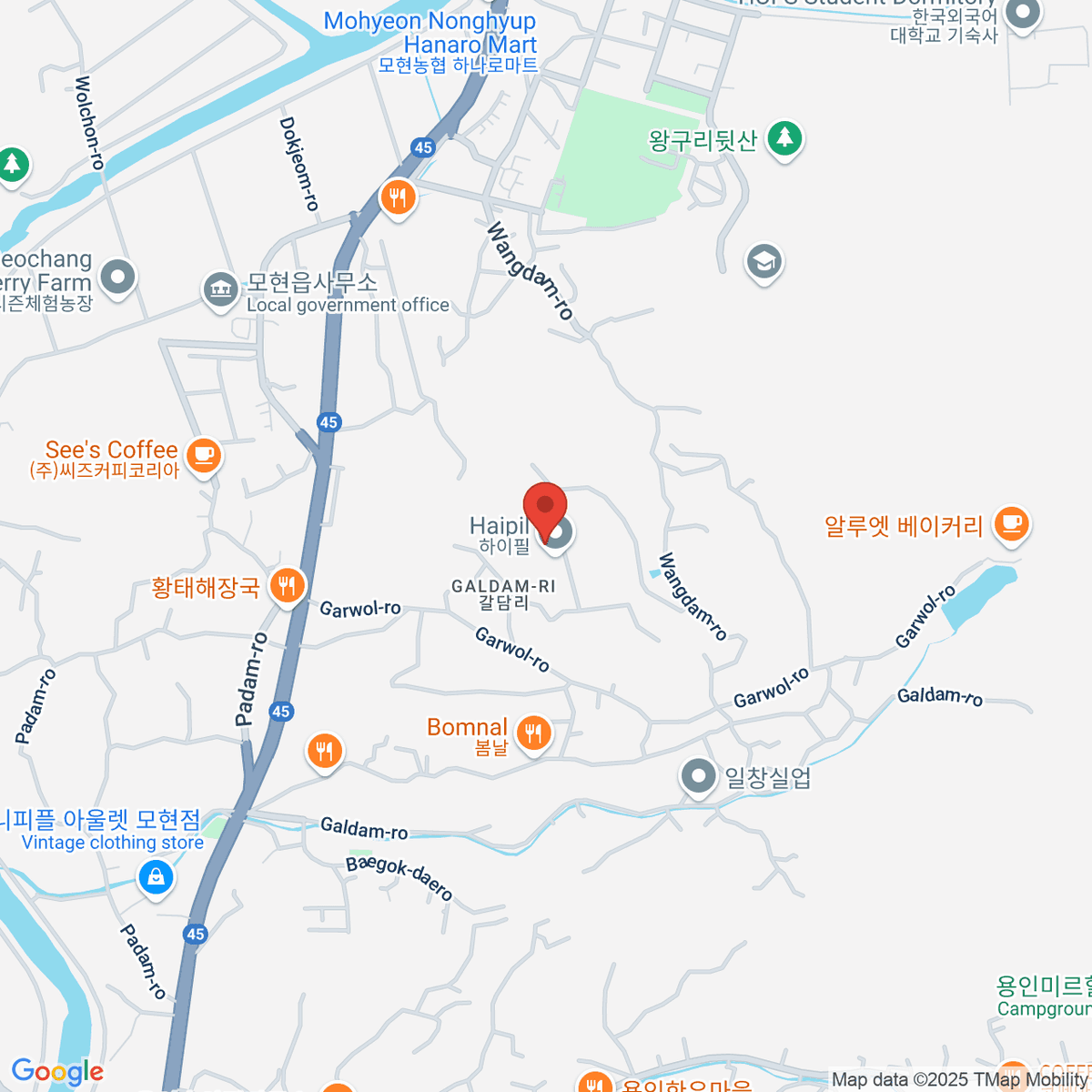google-map-placeholder-image