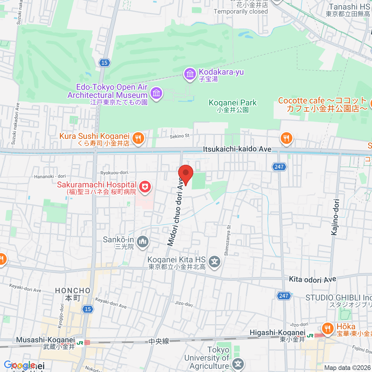 google-map-placeholder-image