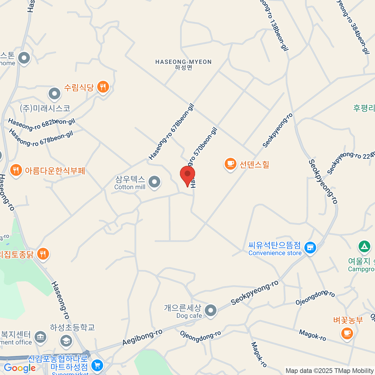 google-map-placeholder-image
