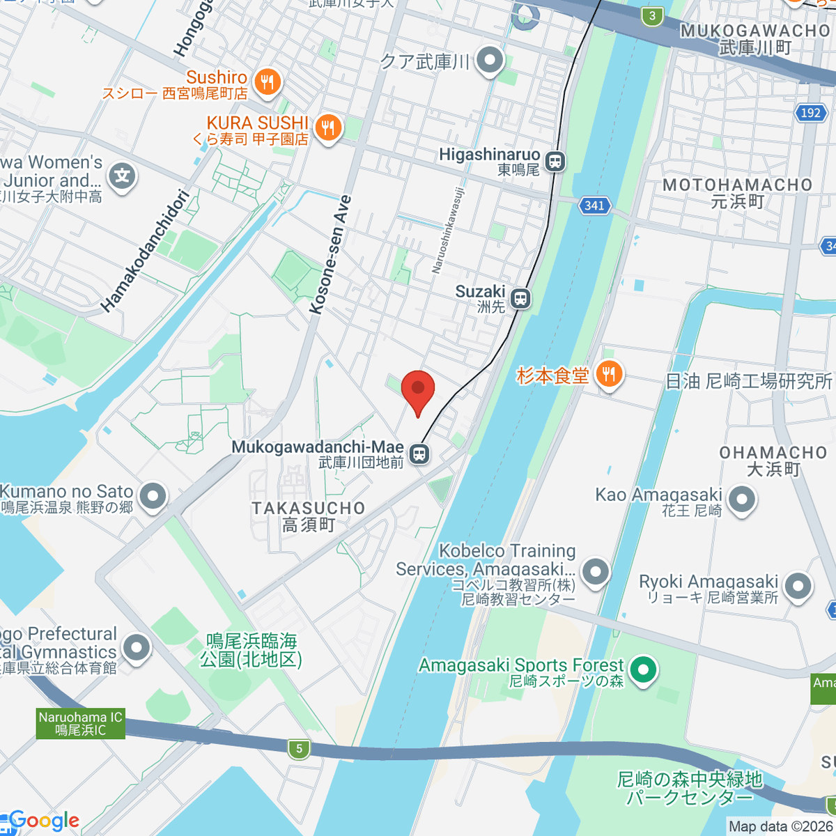 google-map-placeholder-image