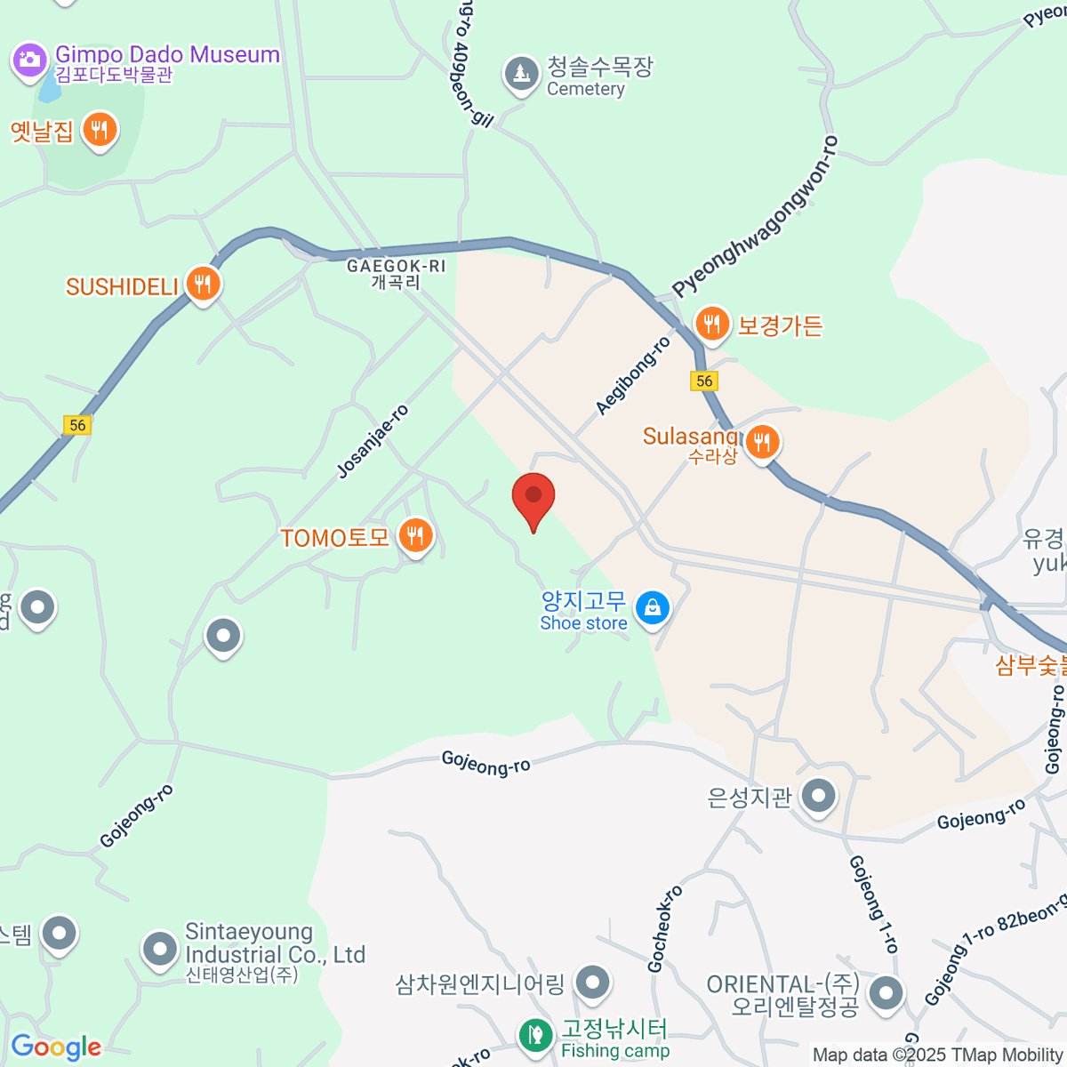 google-map-placeholder-image