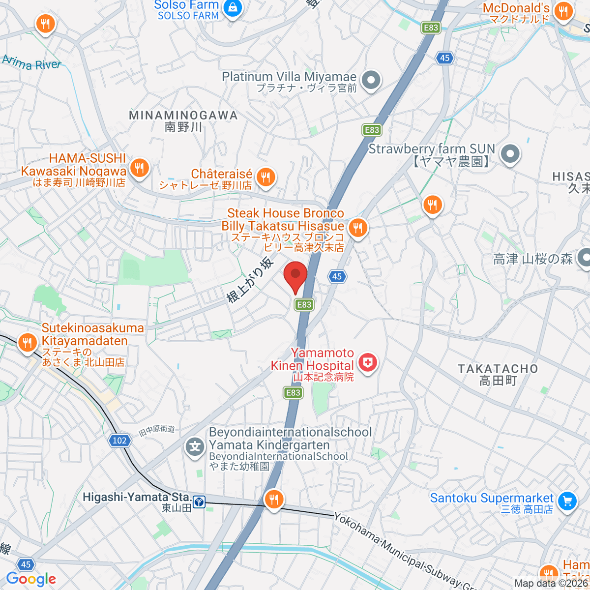 google-map-placeholder-image