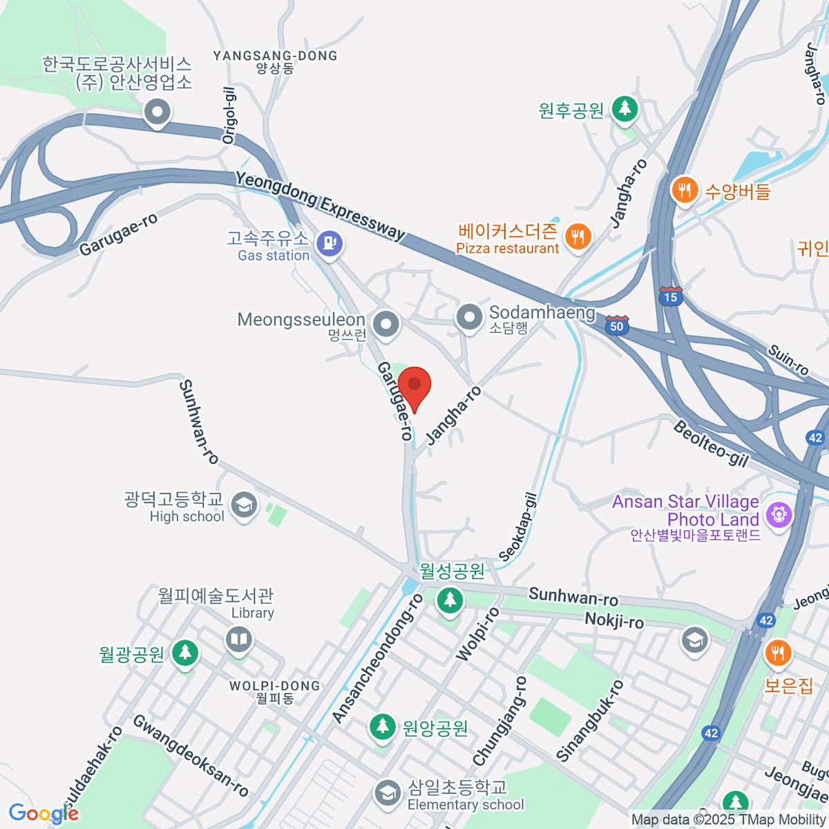 google-map-placeholder-image