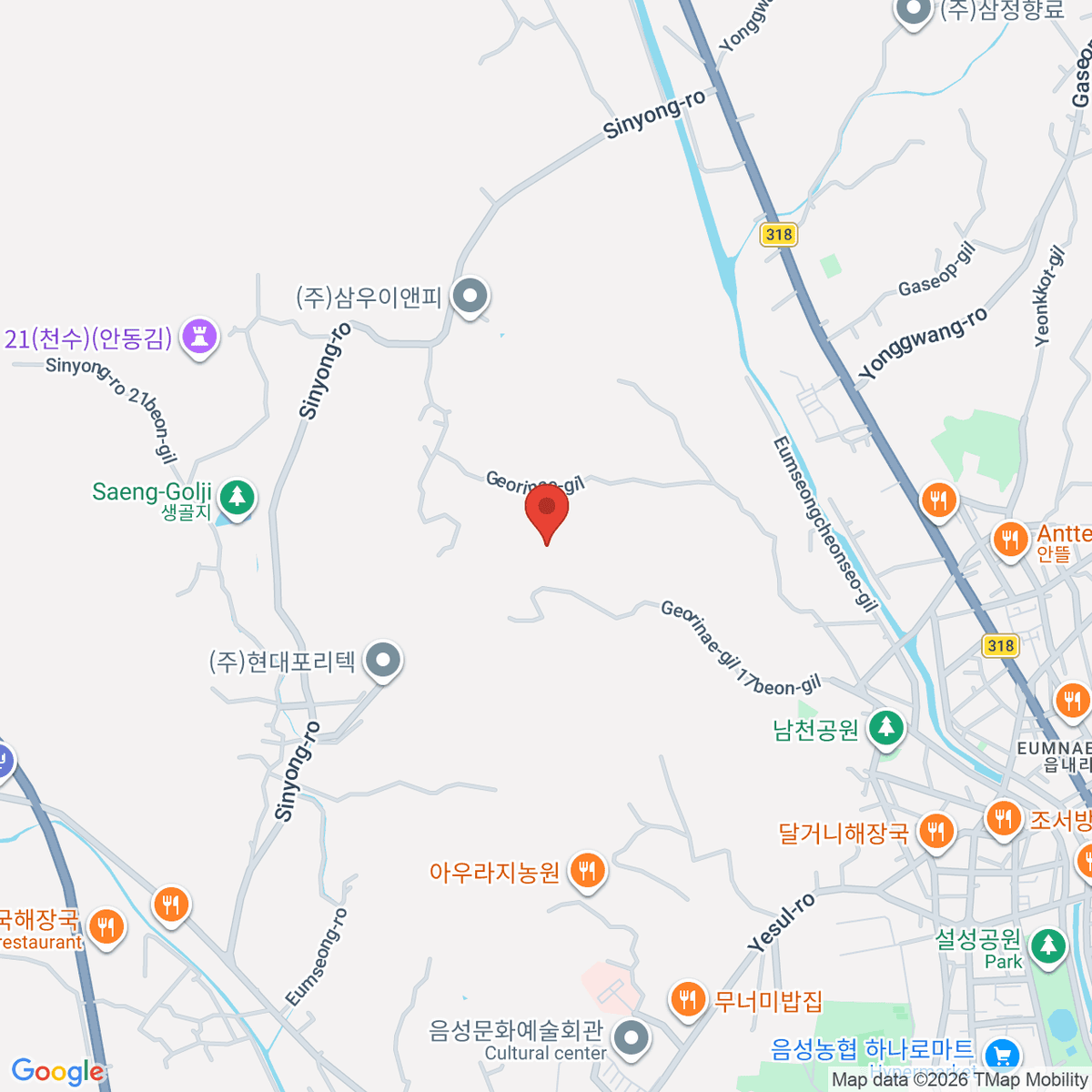 google-map-placeholder-image