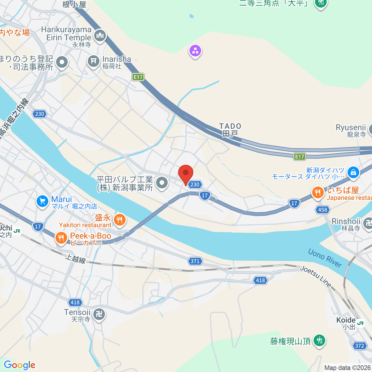google-map-placeholder-image