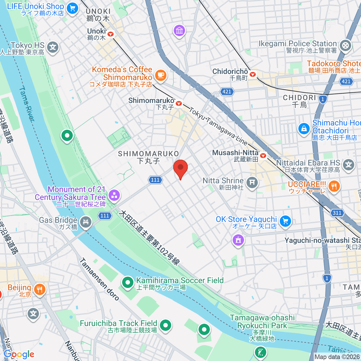google-map-placeholder-image