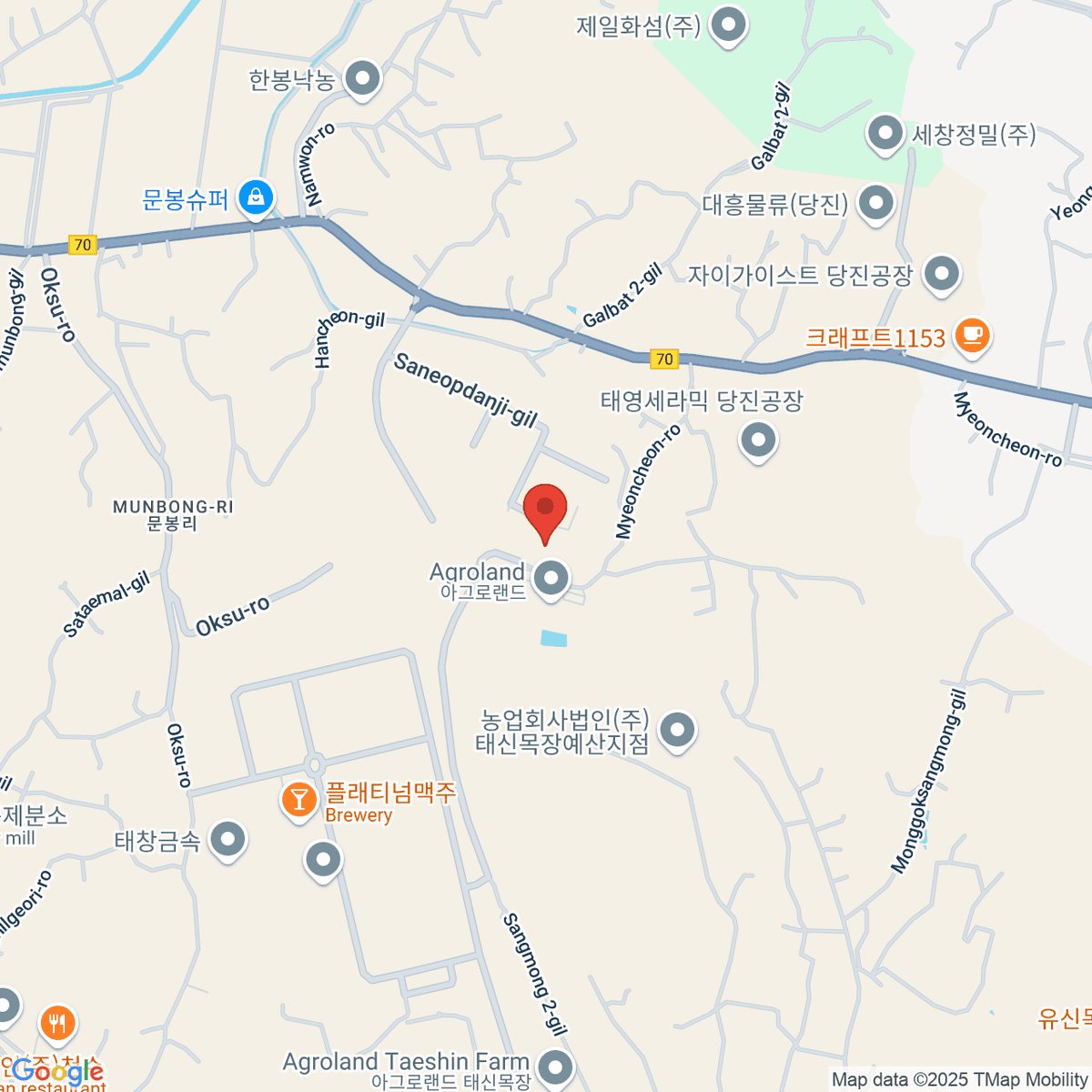 google-map-placeholder-image