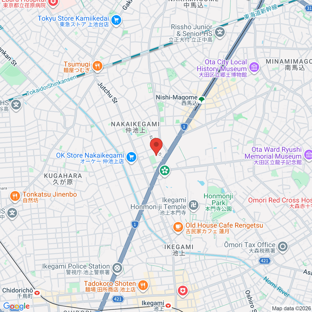 google-map-placeholder-image