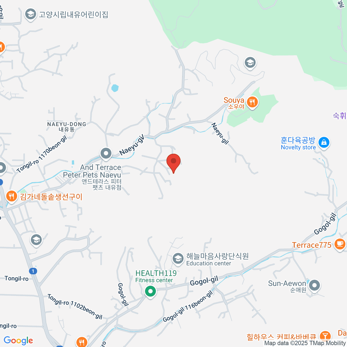 google-map-placeholder-image