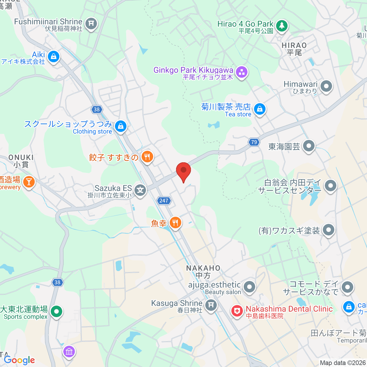 google-map-placeholder-image