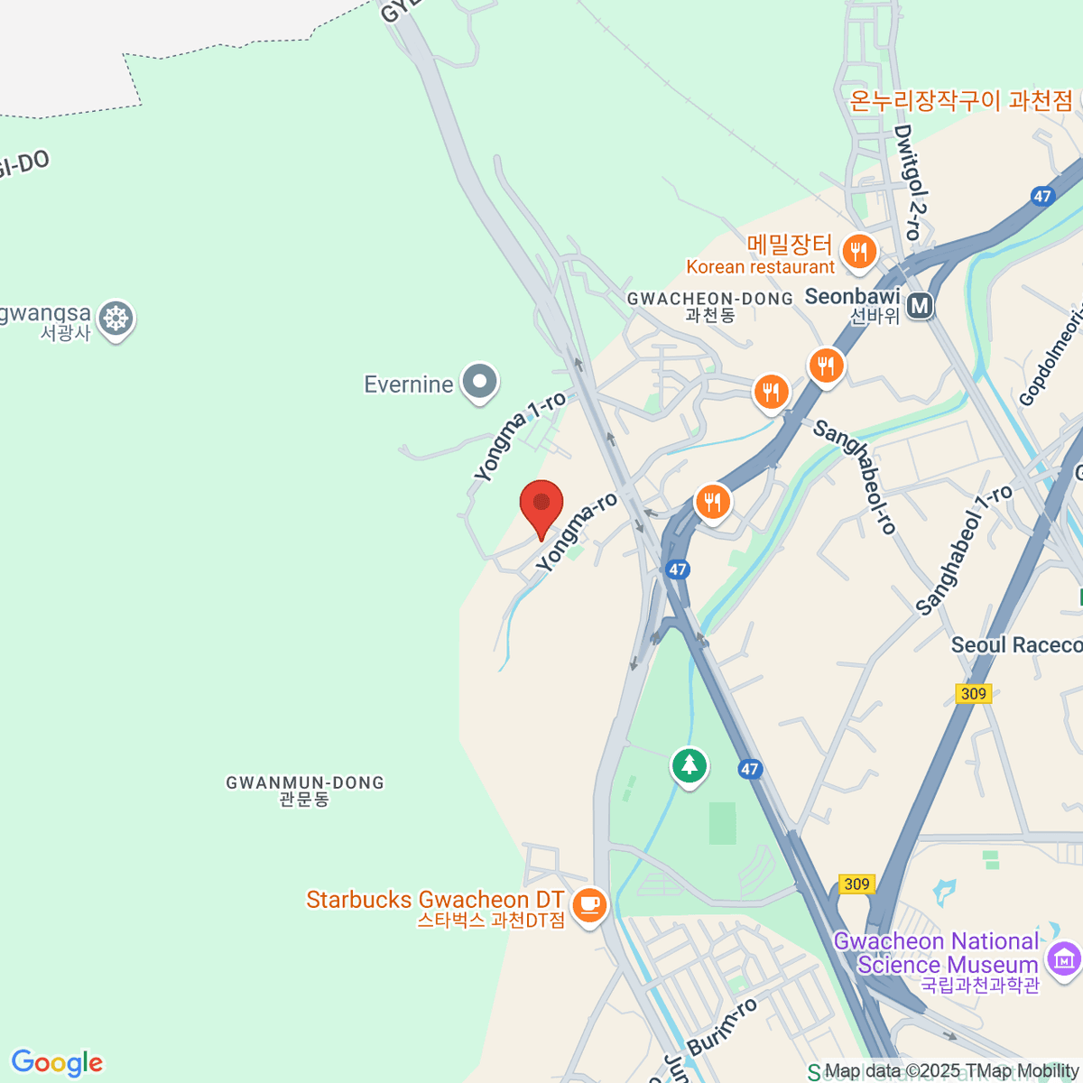 google-map-placeholder-image