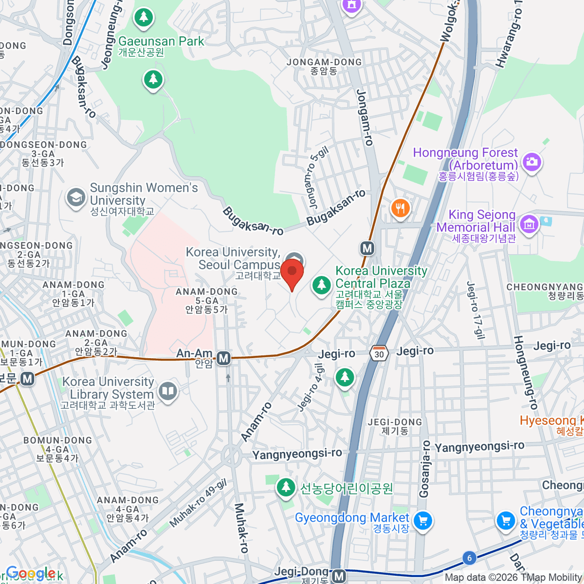 google-map-placeholder-image