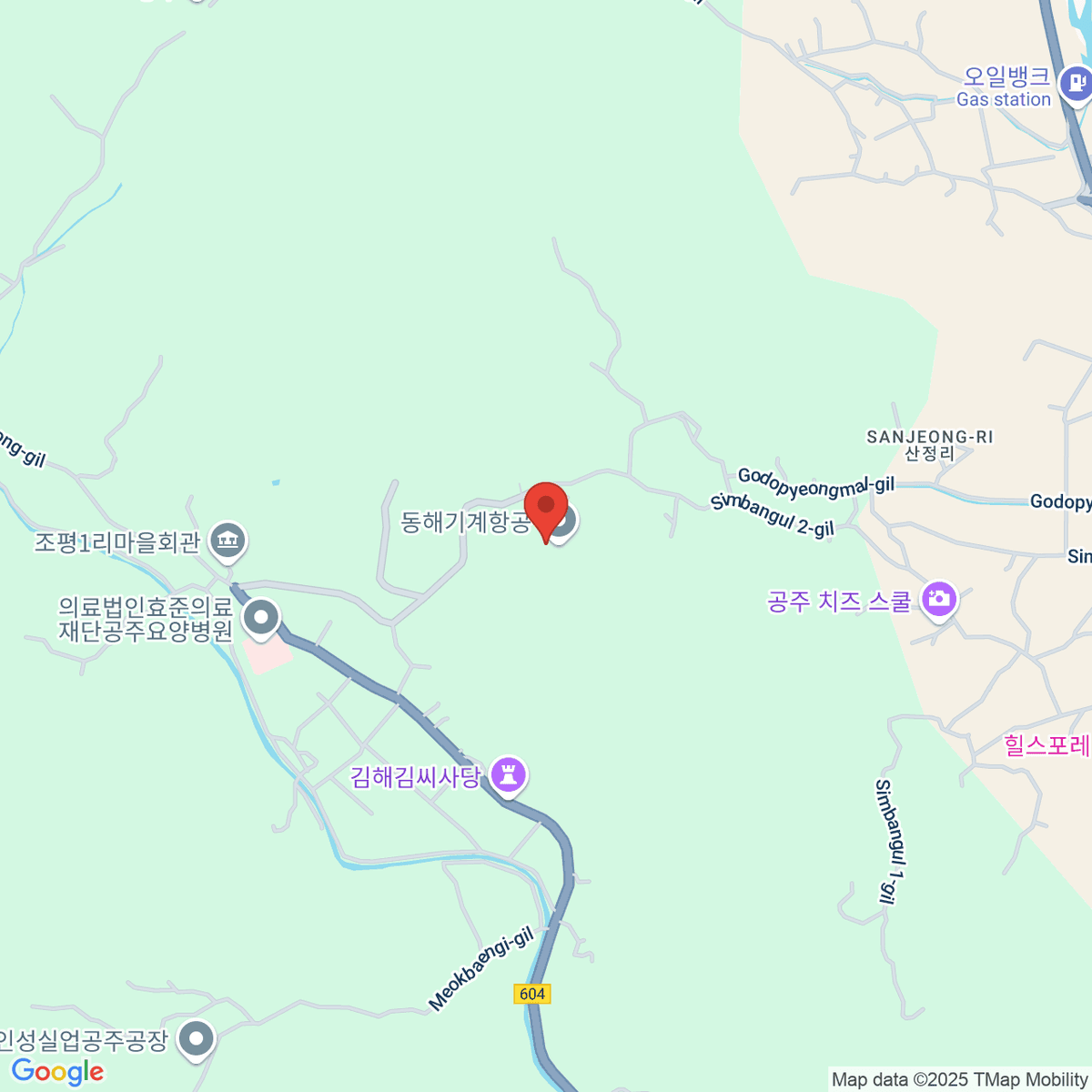 google-map-placeholder-image