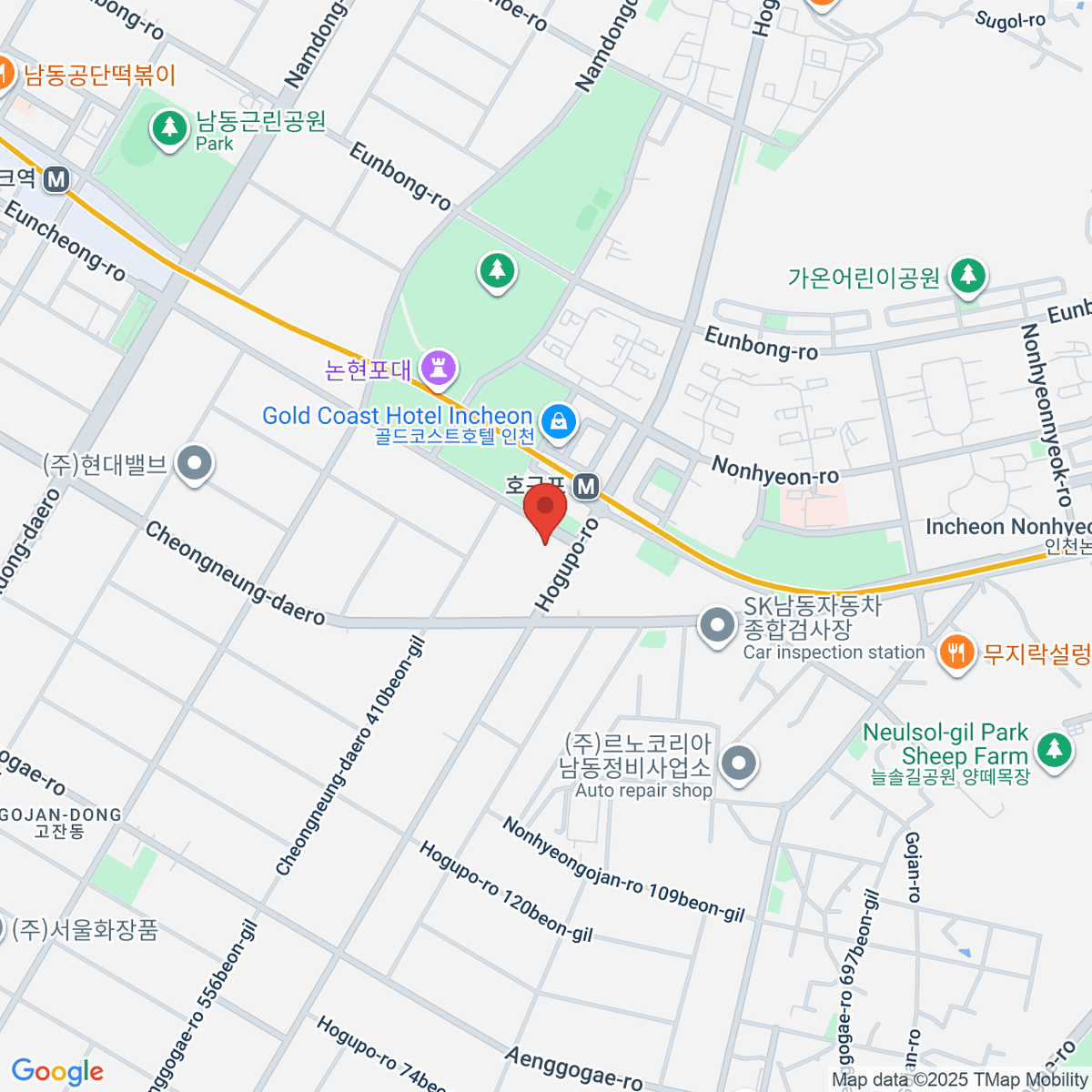 google-map-placeholder-image