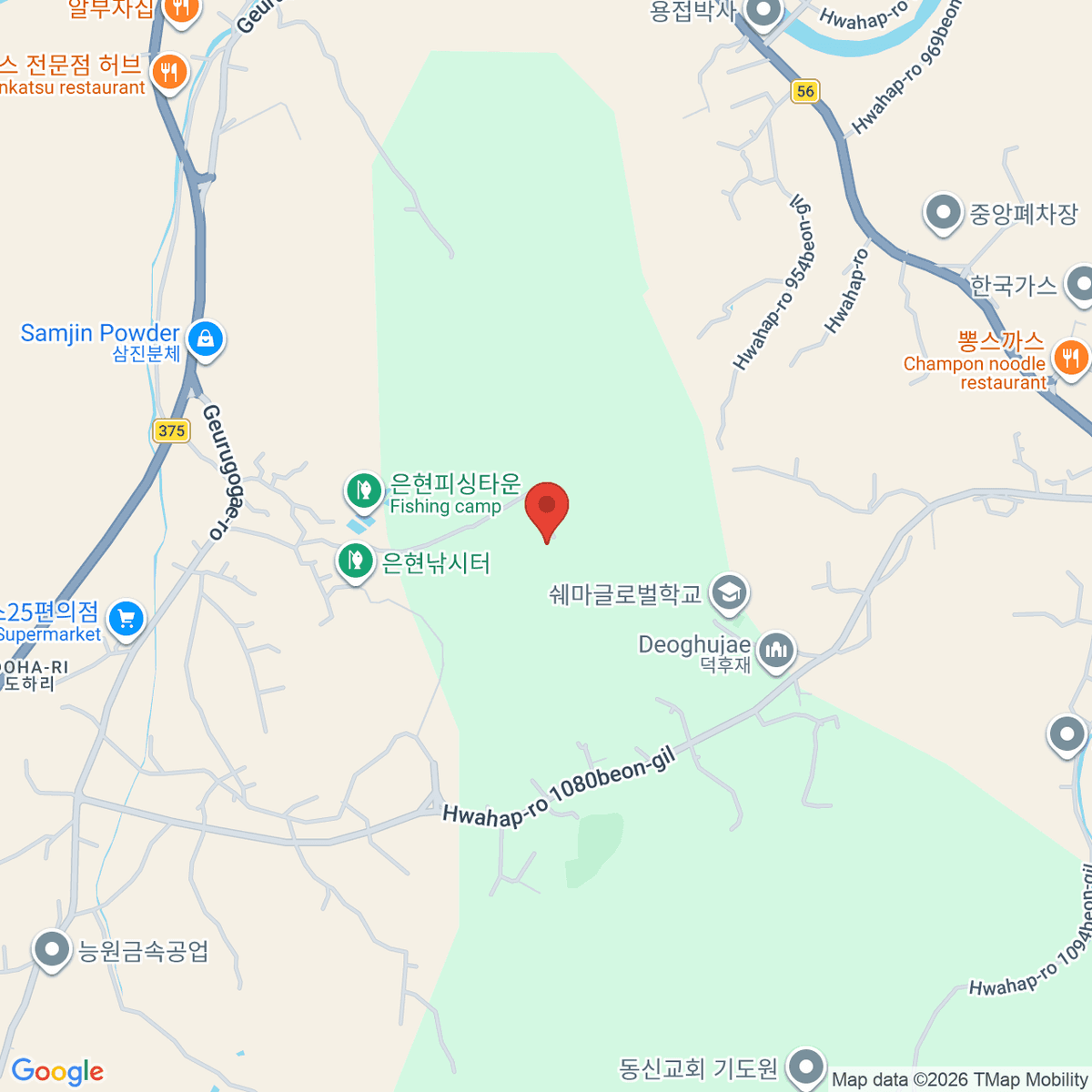 google-map-placeholder-image