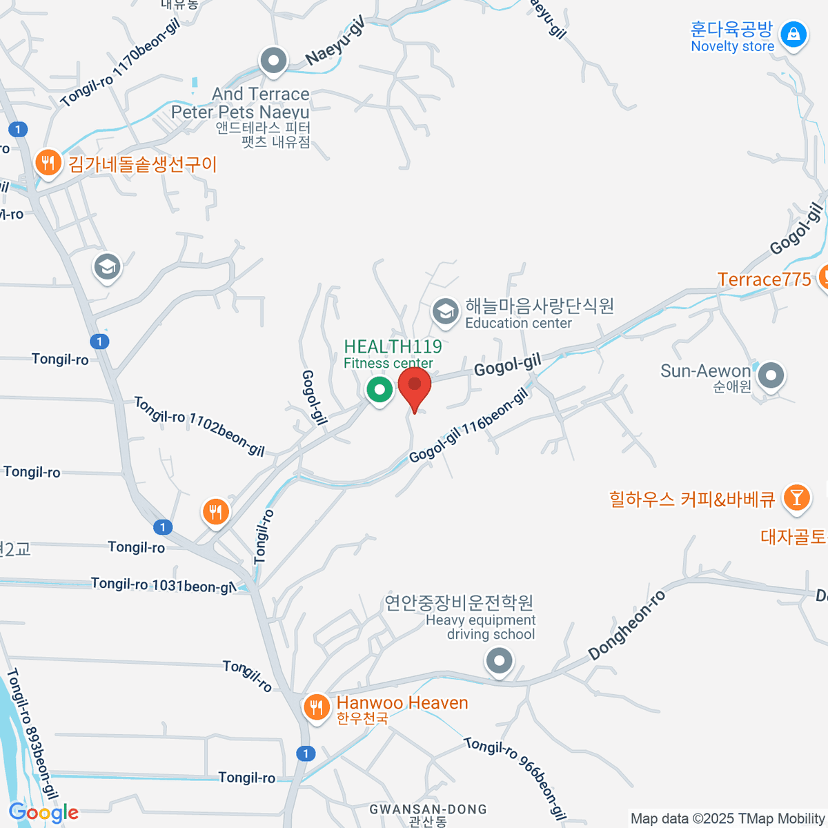 google-map-placeholder-image