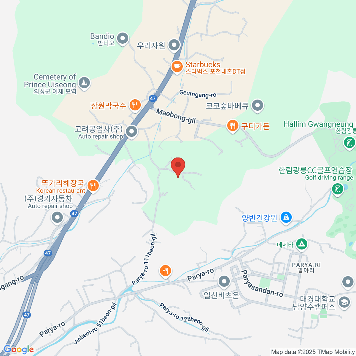 google-map-placeholder-image