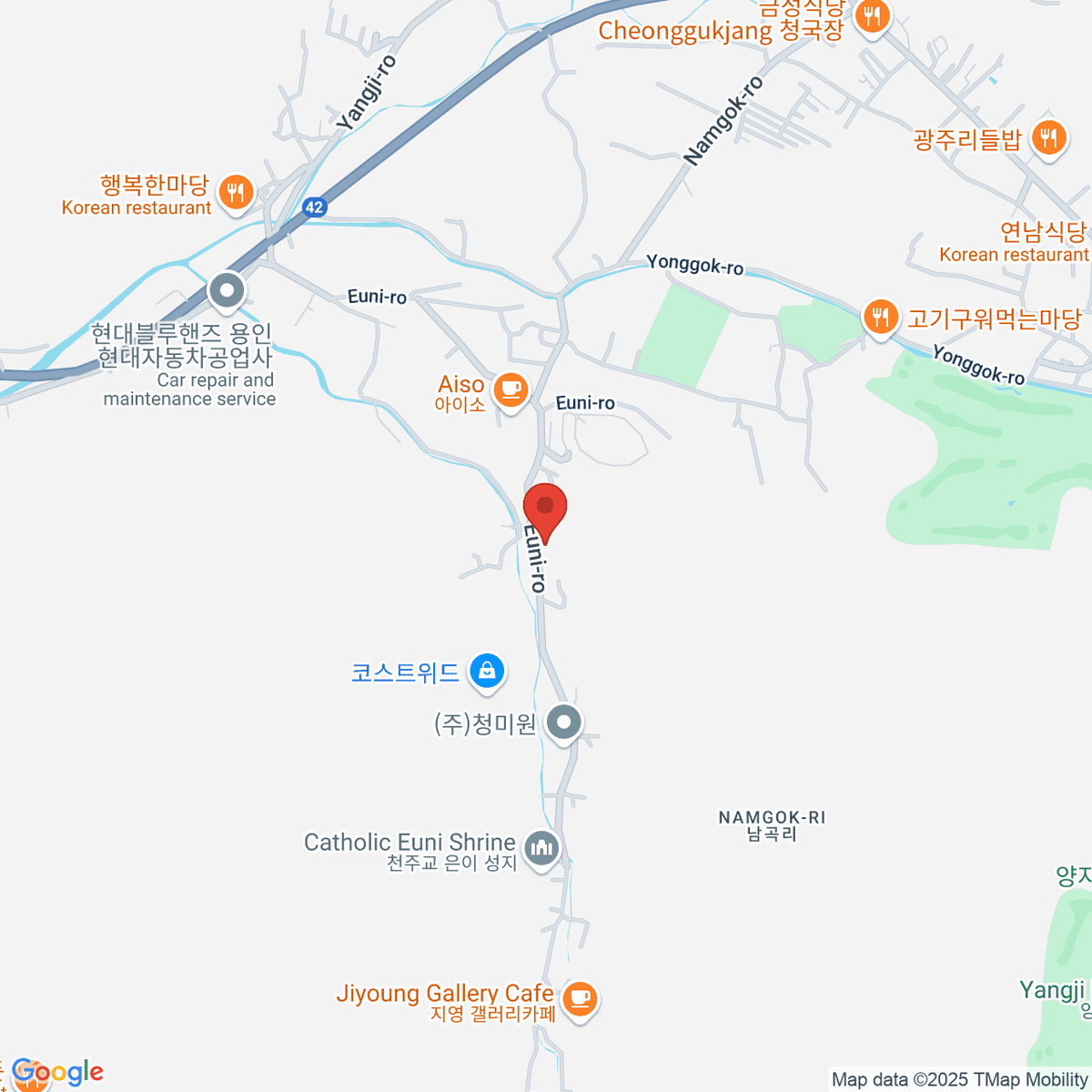 google-map-placeholder-image