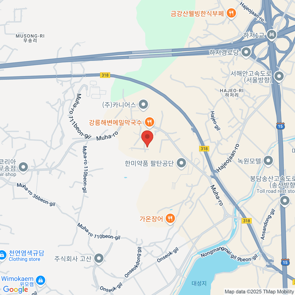 google-map-placeholder-image
