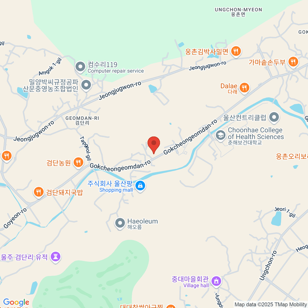 google-map-placeholder-image