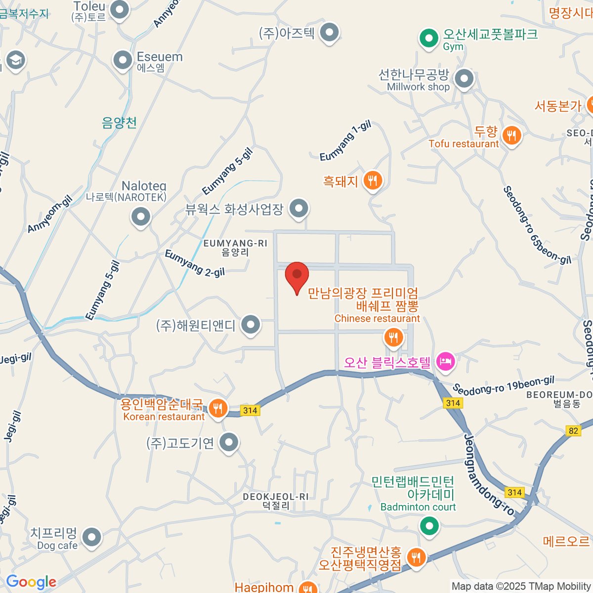 google-map-placeholder-image