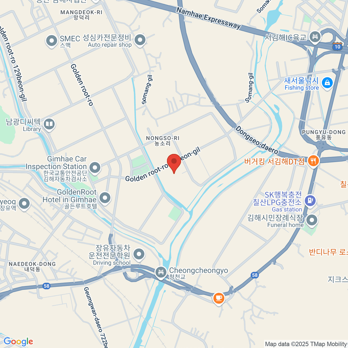 google-map-placeholder-image