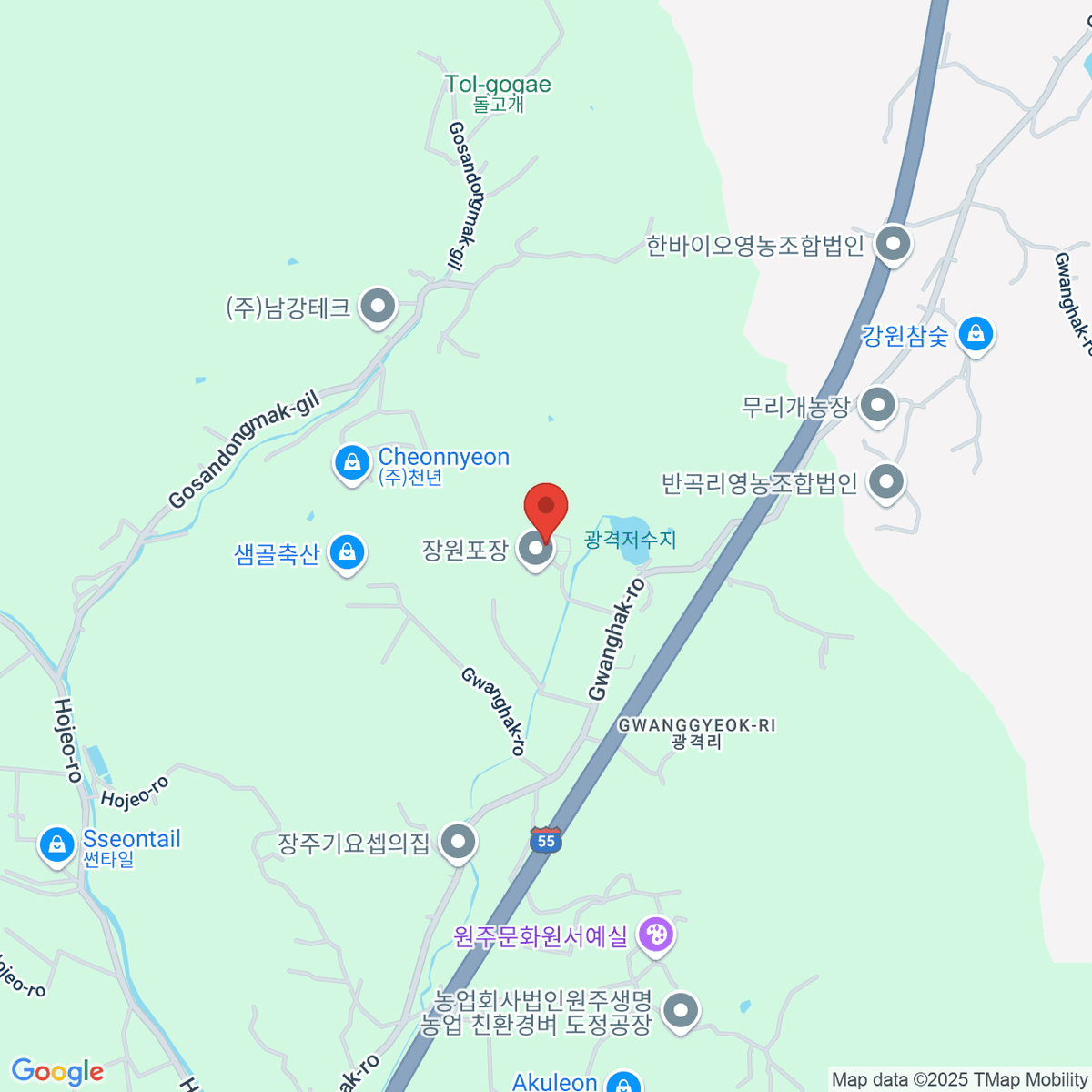 google-map-placeholder-image