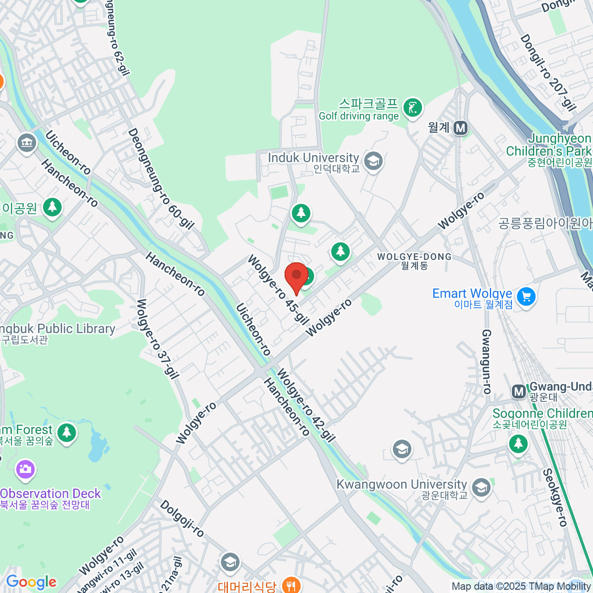 google-map-placeholder-image