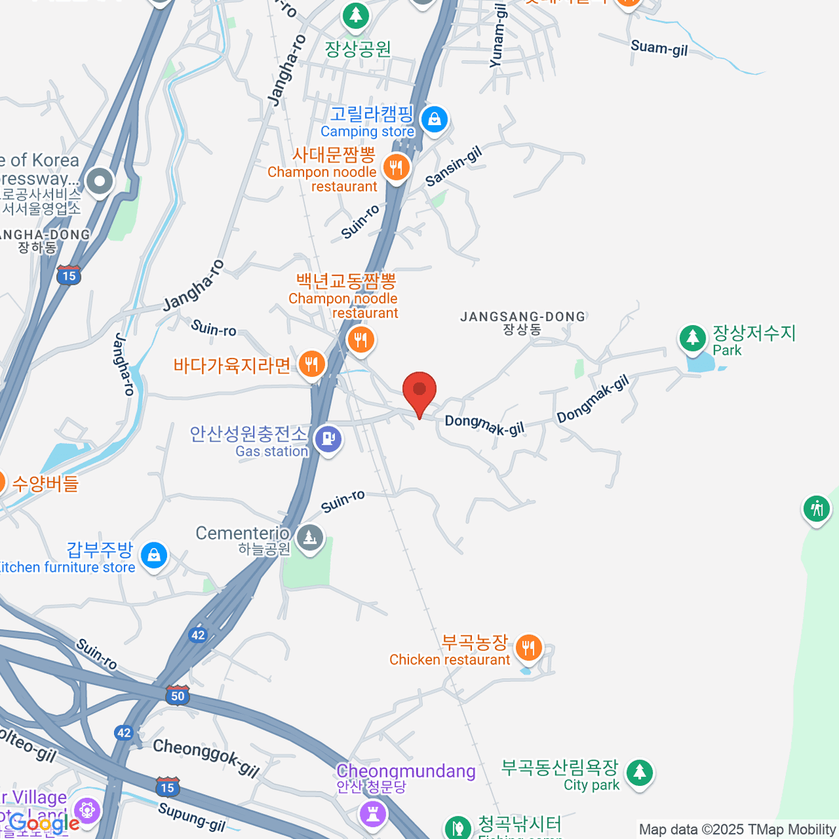 google-map-placeholder-image