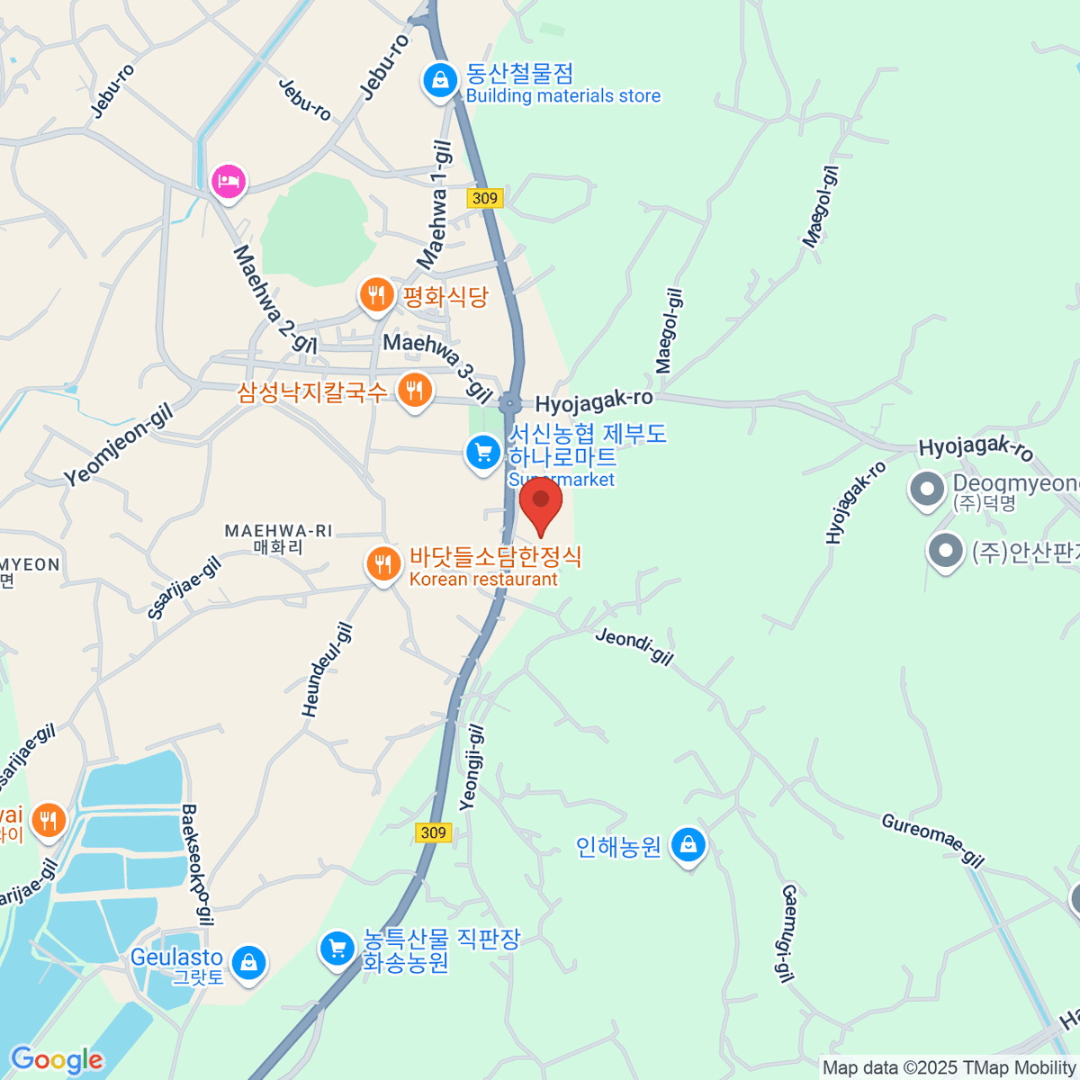 google-map-placeholder-image