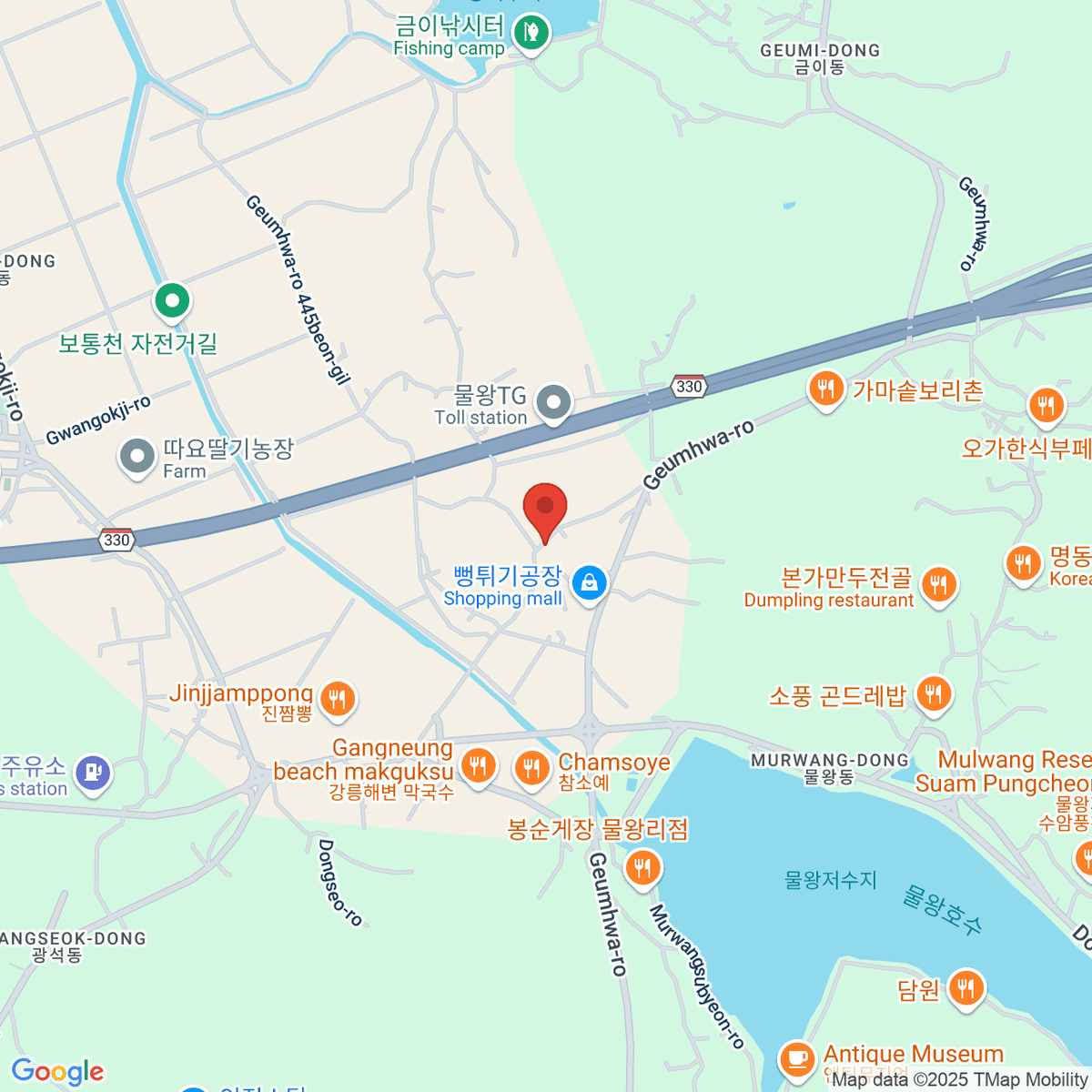 google-map-placeholder-image