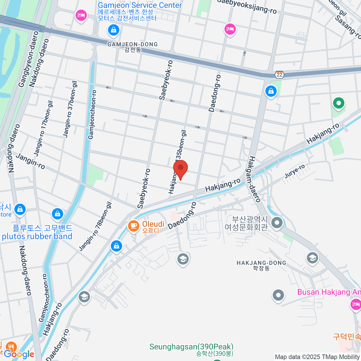 google-map-placeholder-image