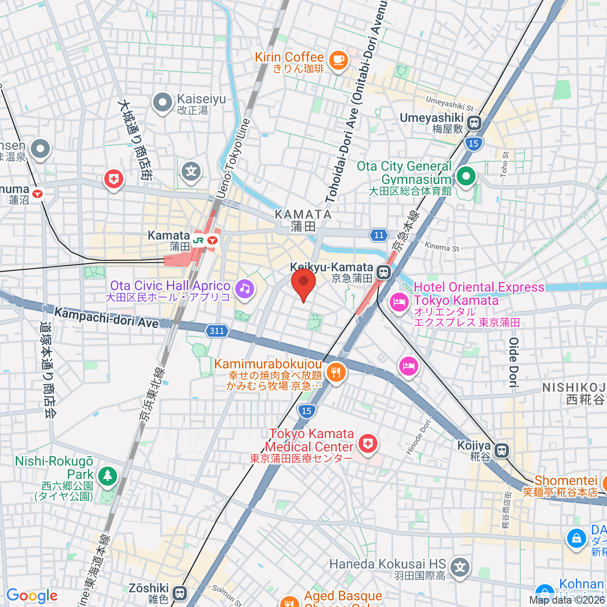 google-map-placeholder-image