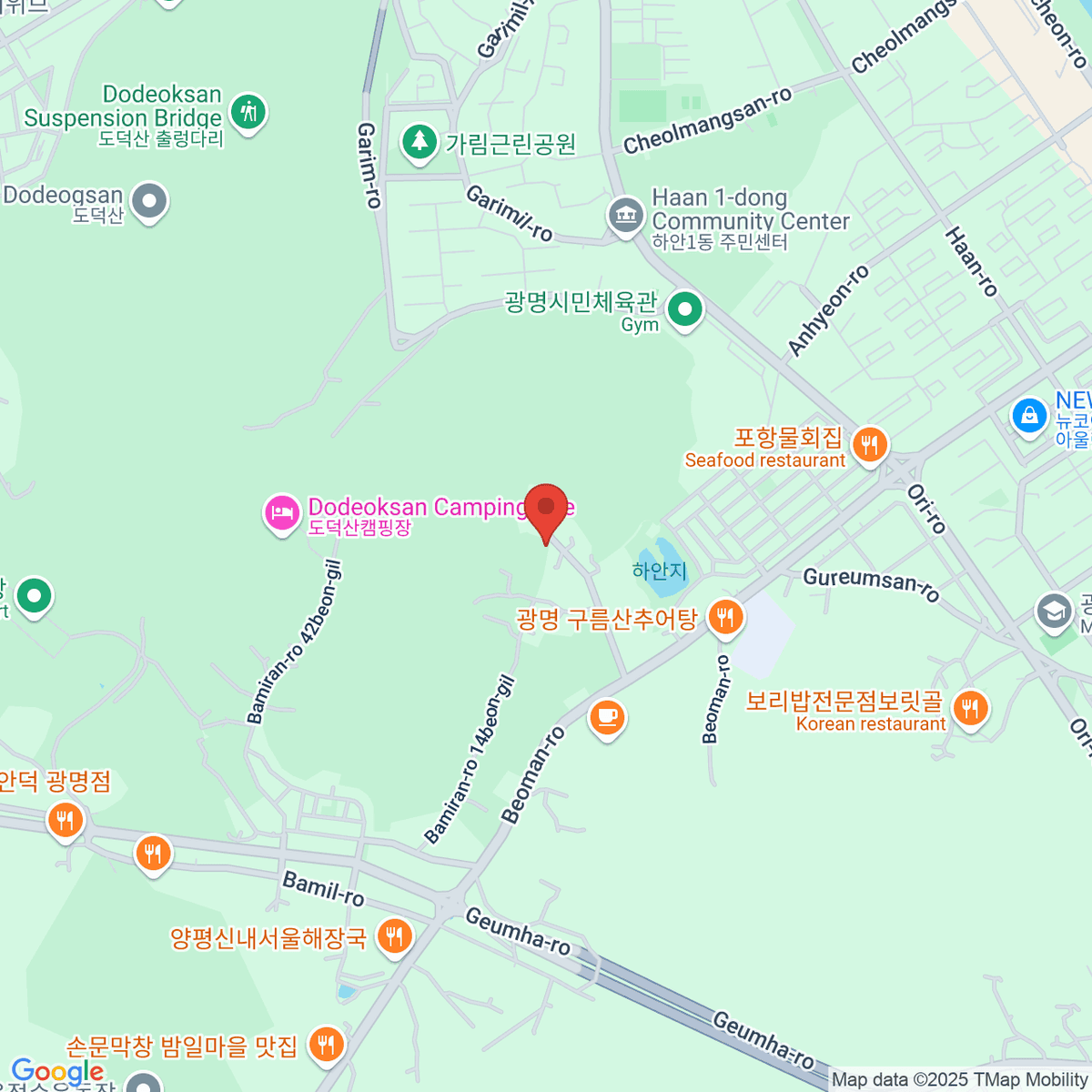 google-map-placeholder-image